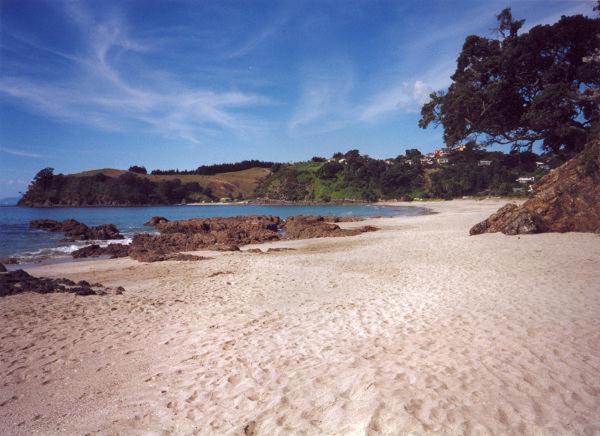 Supacute Character Cottage, Wifi, Sky Tv, Spa Bath, Spa Bath, Dble Kayak And Possibly A Car! Palm Beach Exteriör bild