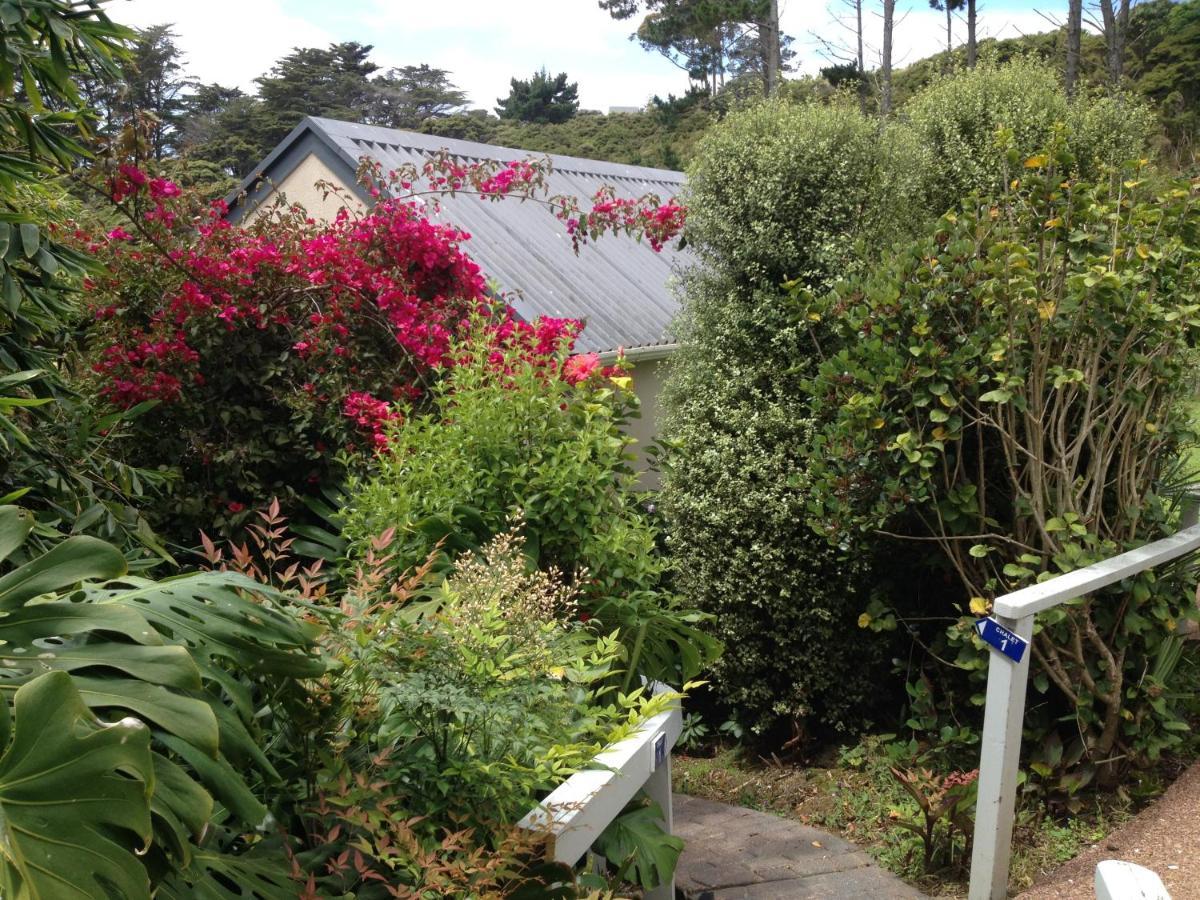 Supacute Character Cottage, Wifi, Sky Tv, Spa Bath, Spa Bath, Dble Kayak And Possibly A Car! Palm Beach Exteriör bild
