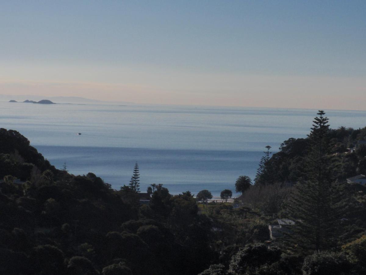 Supacute Character Cottage, Wifi, Sky Tv, Spa Bath, Spa Bath, Dble Kayak And Possibly A Car! Palm Beach Exteriör bild